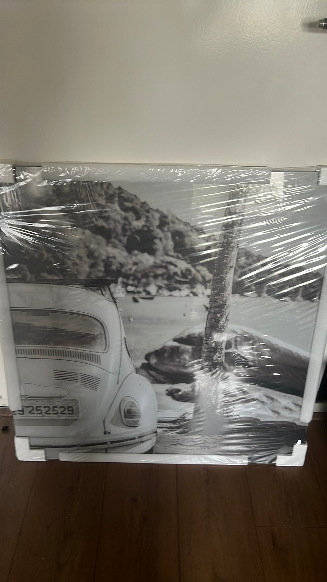 Glazen schilderij Kever aan het strand, Ophalen, 50 tot 75 cm, Nieuw, Schilderij