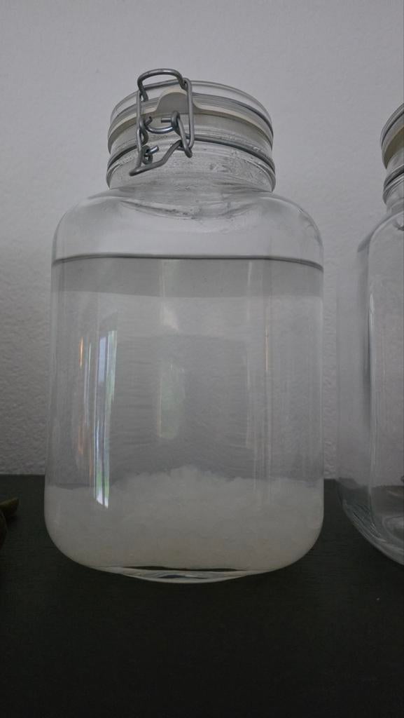 Waterkefir, Ophalen
