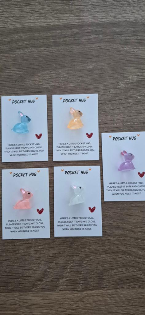 Pocket Hug Konijn - Troostcadeau - Diverse Kleuren, Ophalen of Verzenden, Nieuw