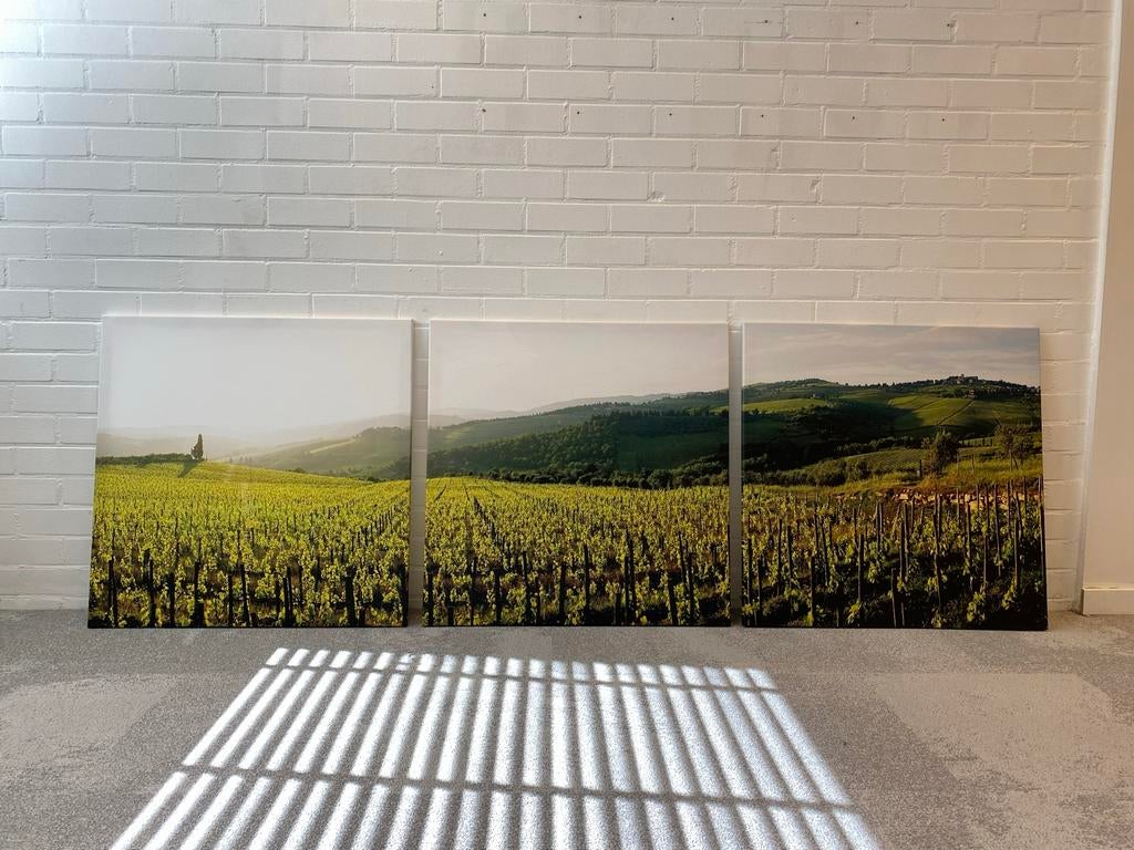 3 Luik schilderijen op canvas - wijnranken, Antiek en Kunst, Ophalen