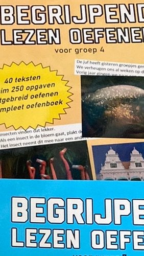 Begrijpend lezen groep 4 oefenen - Cito - Leerling in Beeld, Ophalen of Verzenden, Nieuw, Overige niveaus, Nederlands
