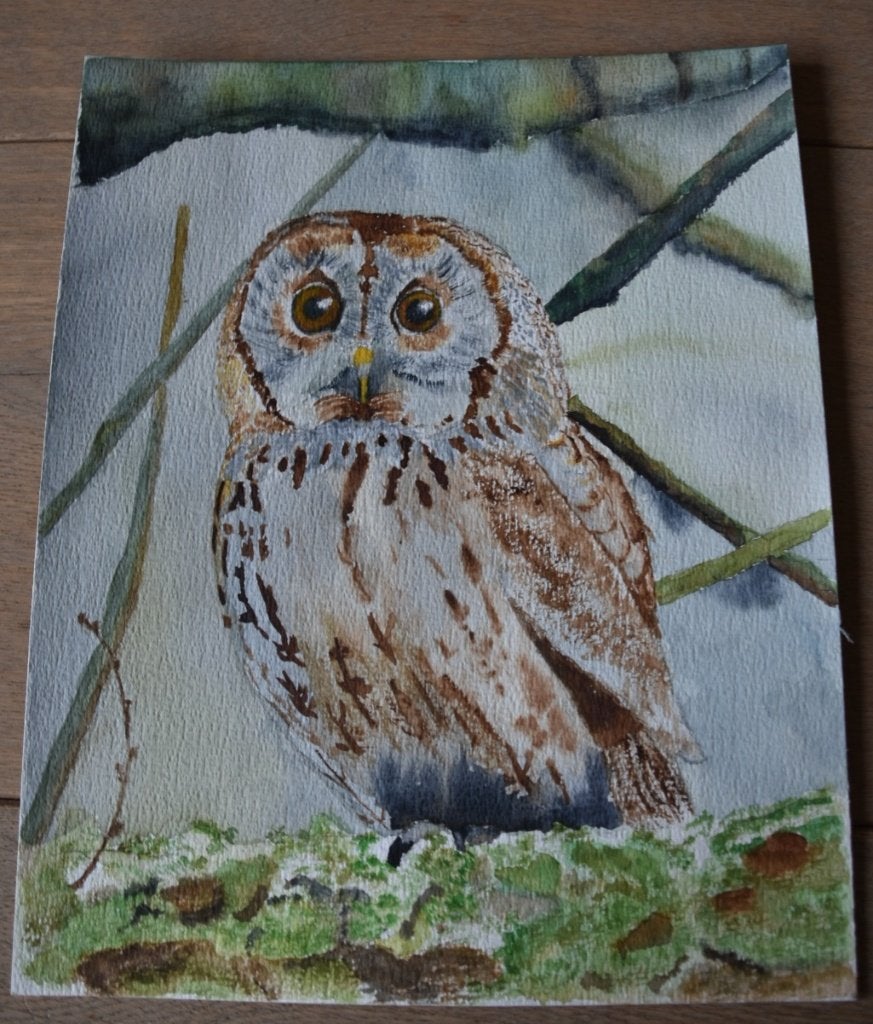 Handgemaakte aquarel van een uil op papier (30x24cm), Ophalen, Aquarel, Handgeschilderd, Papier/karton