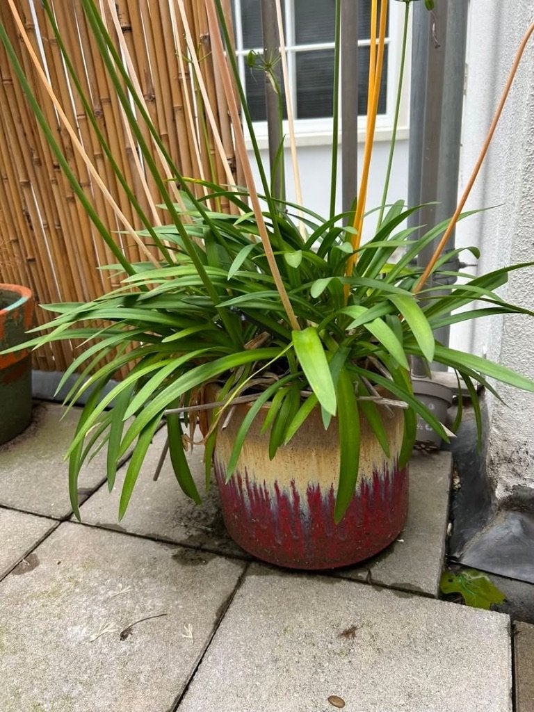 Bloempot rood, Ophalen, Rond, Zo goed als nieuw, Minder dan 40 cm
