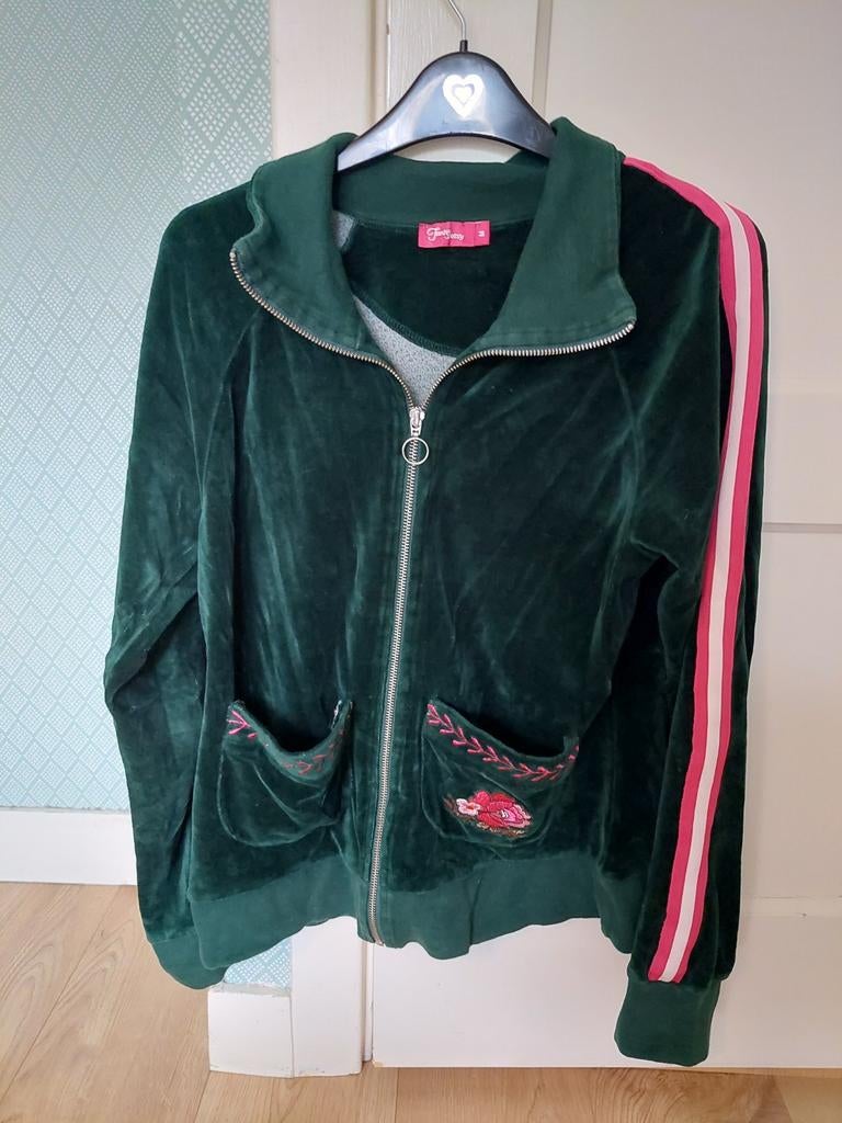 vest Tante Betsy, maat M, Kleding | Dames, Truien en Vesten, Gedragen, Maat 38/40 (M), Groen, Ophalen of Verzenden