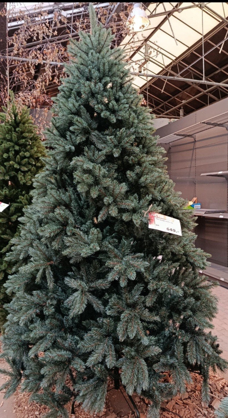 kerstboom, Ophalen, Winter, Halfschaduw, Overige soorten
