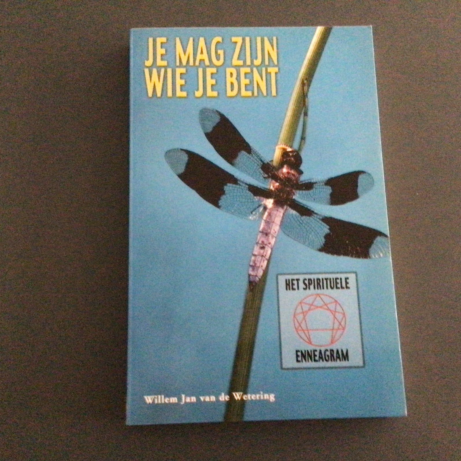 Willen Jan van de Wetering - Je mag zijn wie je bent, Achtergrond en Informatie, Spiritualiteit algemeen, W.J. van de Wetering