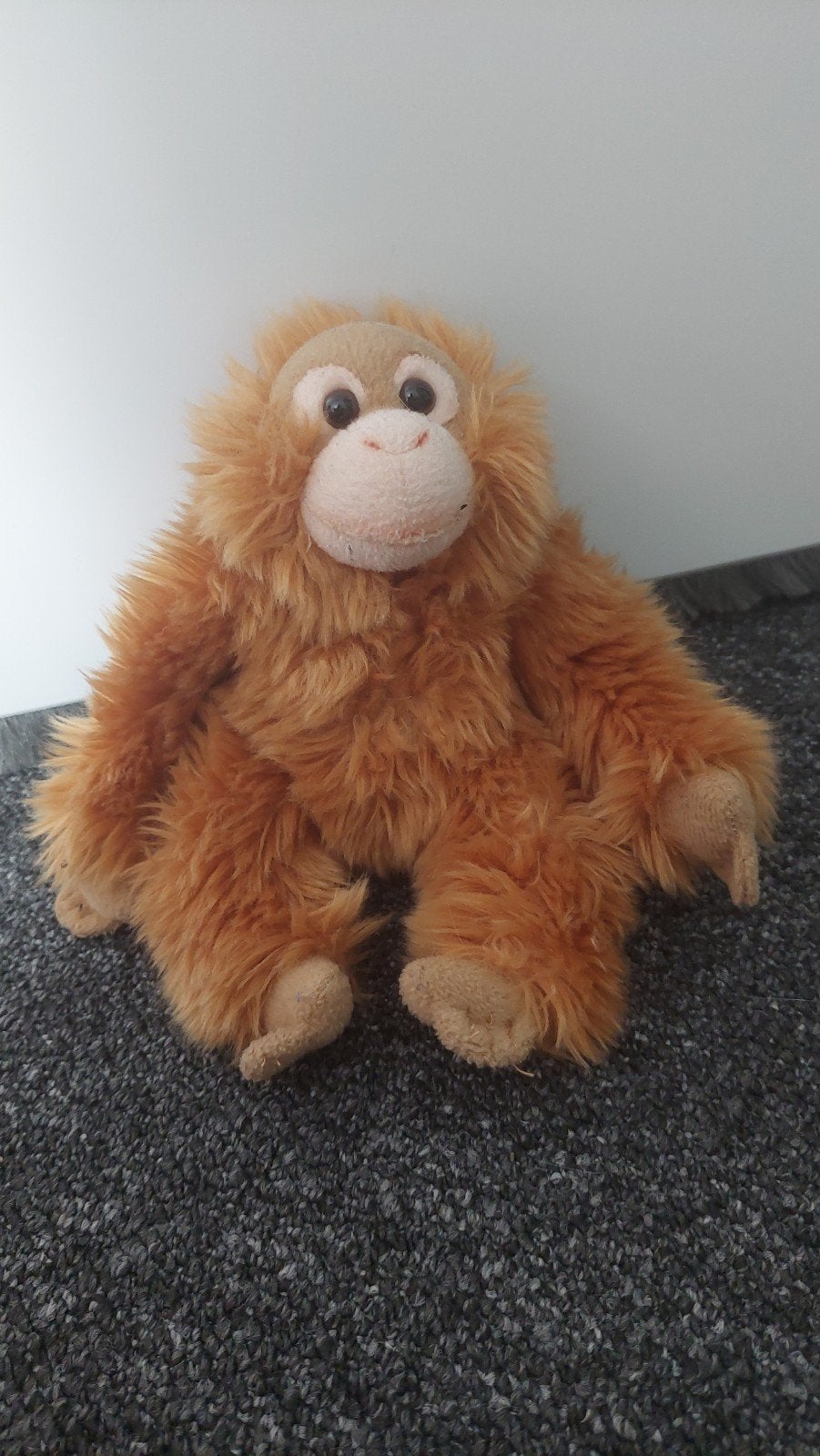 WWF orang oetan knuffel, Ophalen of Verzenden, Zo goed als nieuw, Overige typen