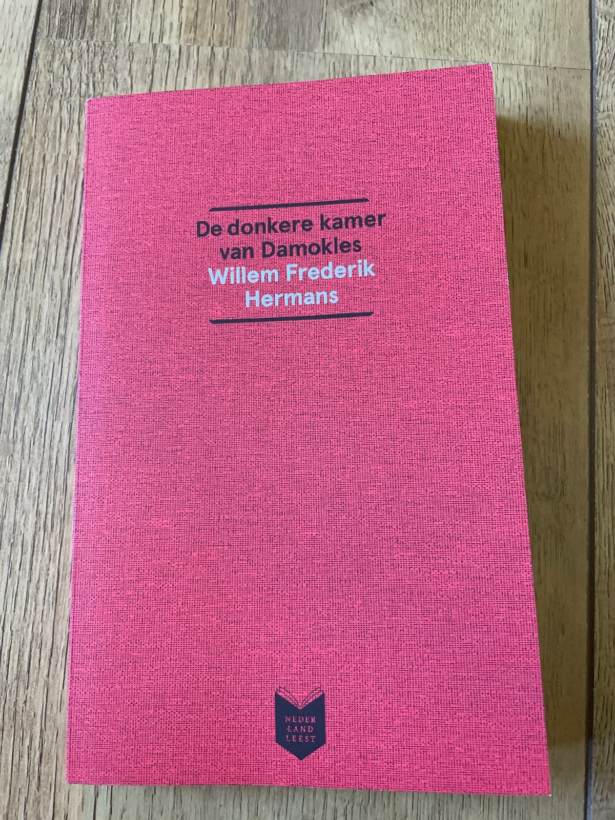De donkere kamer van Damokles - Willem Frederik Hermans, Boeken, Ophalen of Verzenden, Gelezen, Nederland