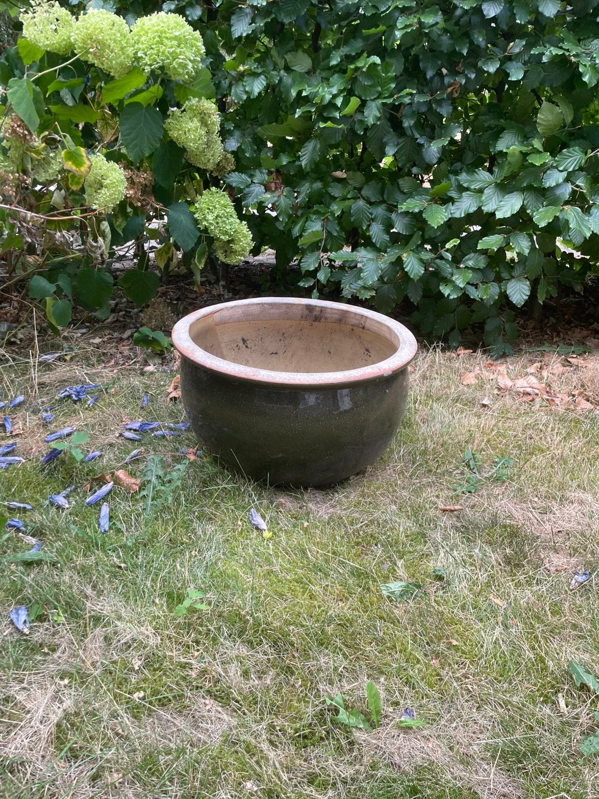Mooie grote groene bloempot 48 br en 30 dp, Ophalen, 40 cm of meer, Rond, Zo goed als nieuw