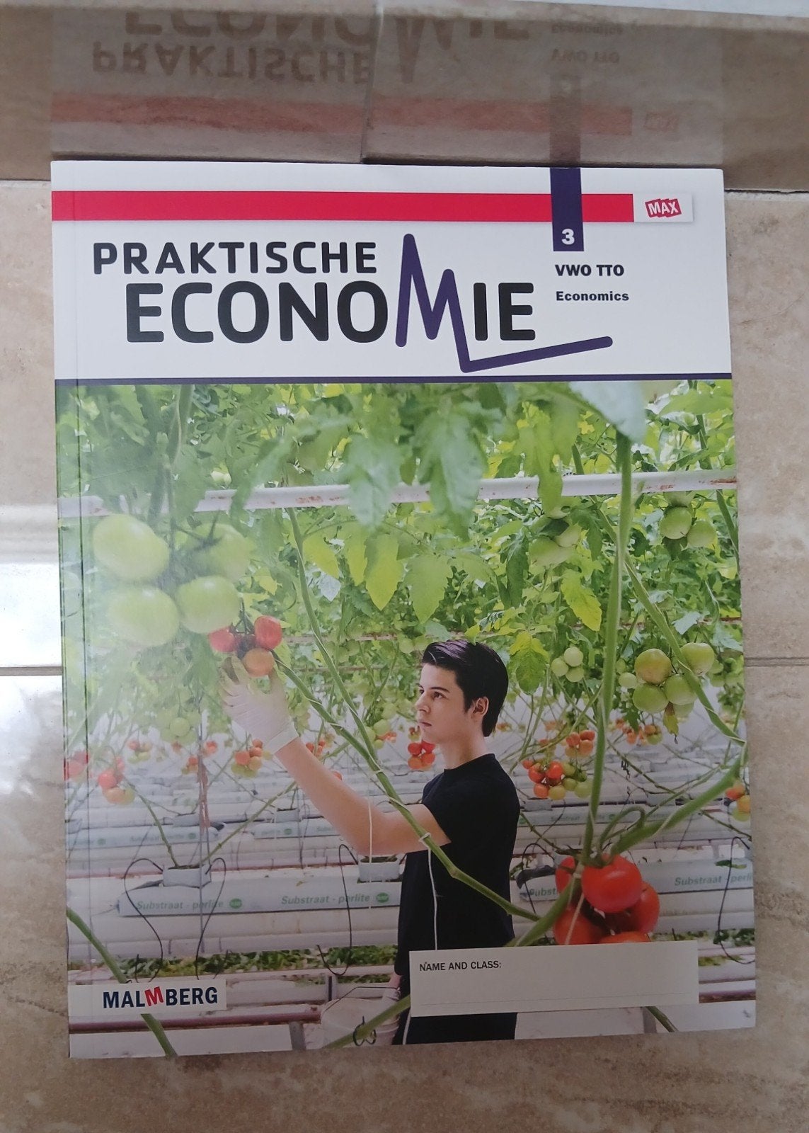 Praktische Economie VWO TTO 3 - Zo goed als nieuw, Ophalen of Verzenden, Gamma, Zo goed als nieuw