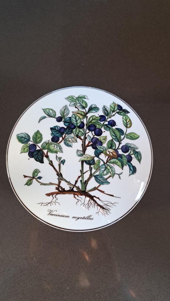 Villeroy & Boch Botanica schotel Vaccinium myrtillus, Overige typen, Ophalen of Verzenden, Zo goed als nieuw, Overige stijlen