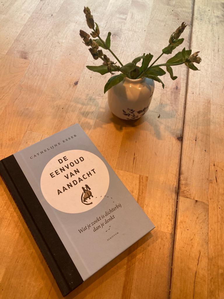 Cathelijne Esser - De eenvoud van aandacht, Boeken, Ophalen of Verzenden, Zo goed als nieuw, Cathelijne Esser