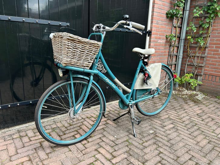 Sparta Country Tour N7 met rieten mand, Ophalen, Terugtraprem, Sparta, 53 tot 56 cm