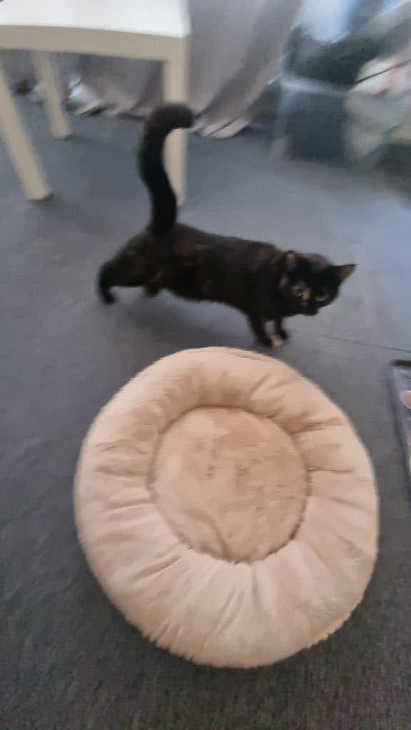 Feandrea Kattenmand, Dieren en Toebehoren, Kattenmanden, Ophalen, Zo goed als nieuw, Wol