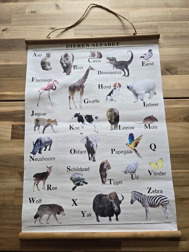 Vintage Dieren Alfabet Poster, Ophalen of Verzenden, Natuur en Biologie