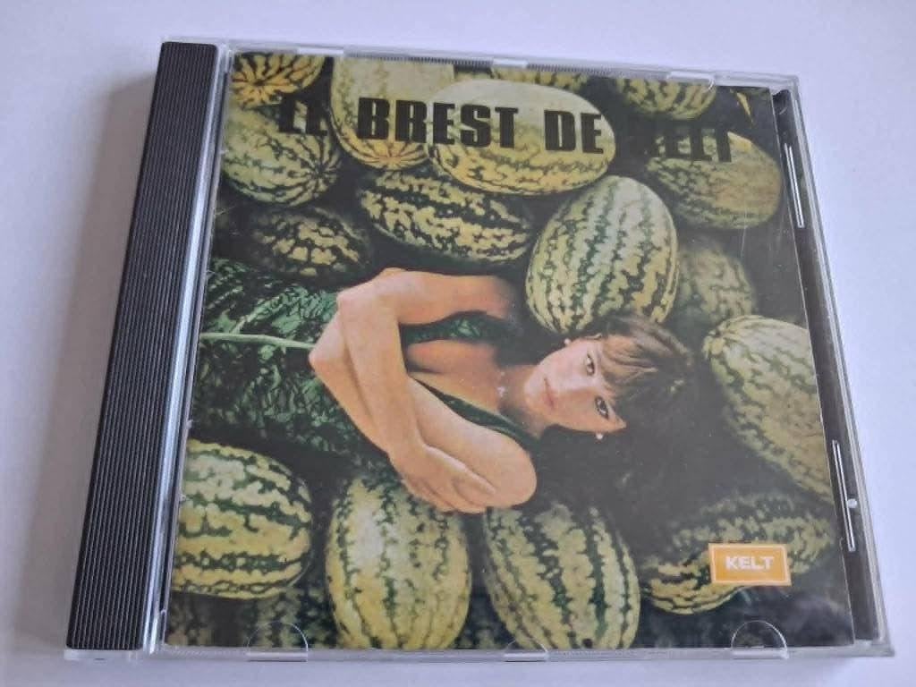 Le Brest De Kelt, Cd's en Dvd's, Cd's | Verzamelalbums, Ophalen of Verzenden, Gebruikt, Rock en Metal
