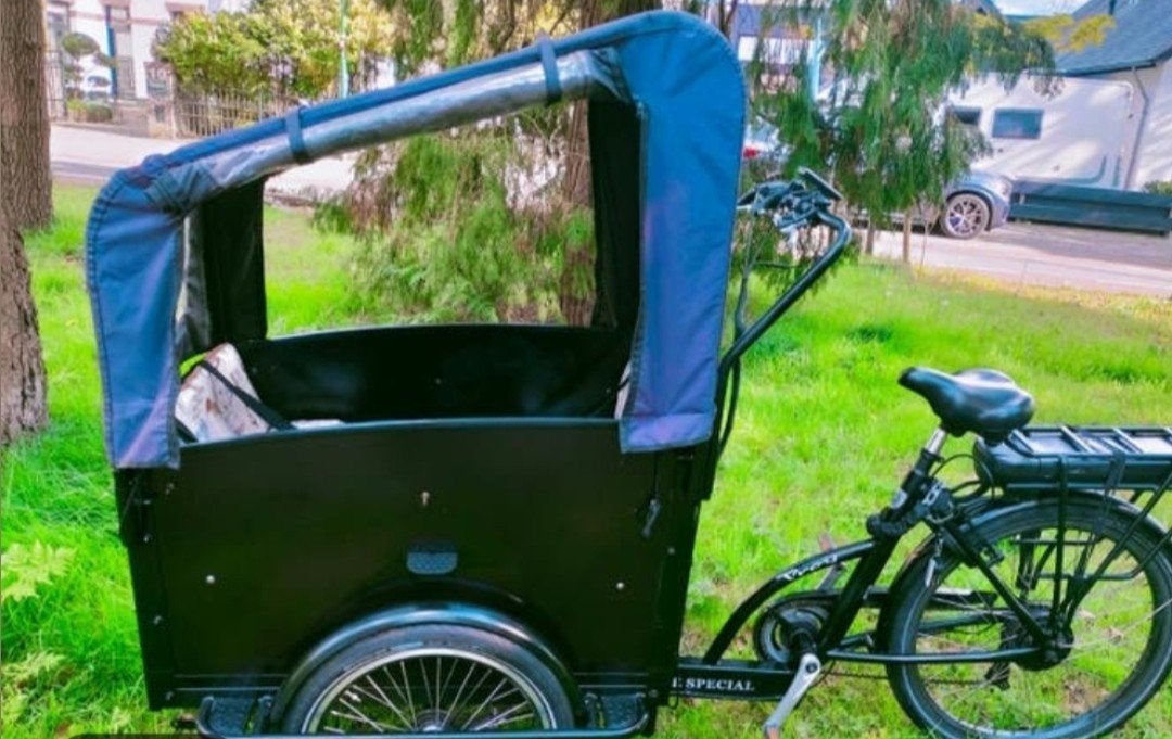 Elektrische bakfiets kids/dogdeur, Ophalen, Zo goed als nieuw, 4 kinderen of meer