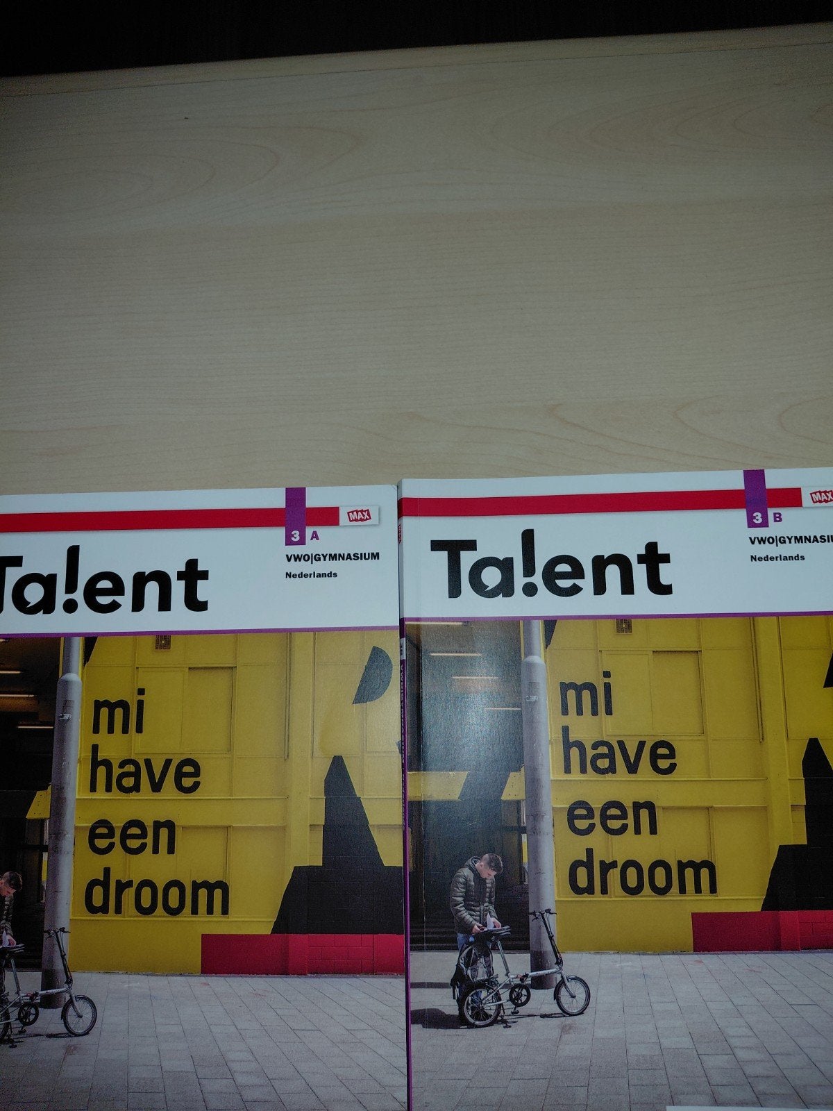Talent Nederlands VWO 3, Boeken, Ophalen of Verzenden