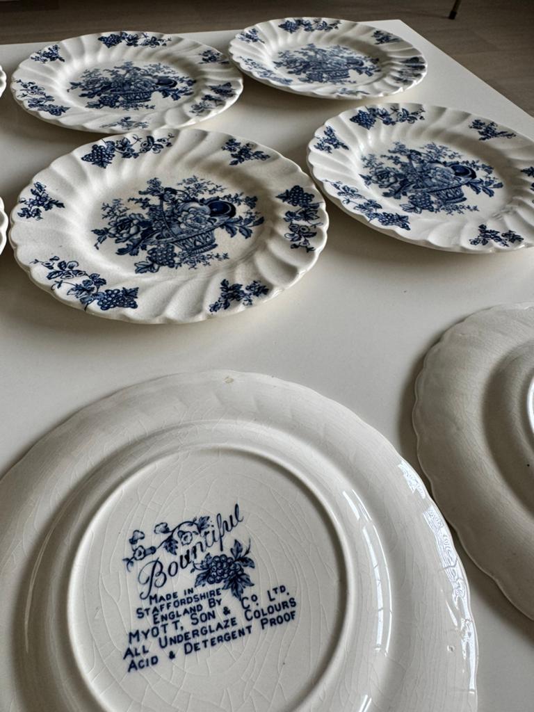 12 vintage Myott Bountiful bordjes – Staffordshire England, Ophalen