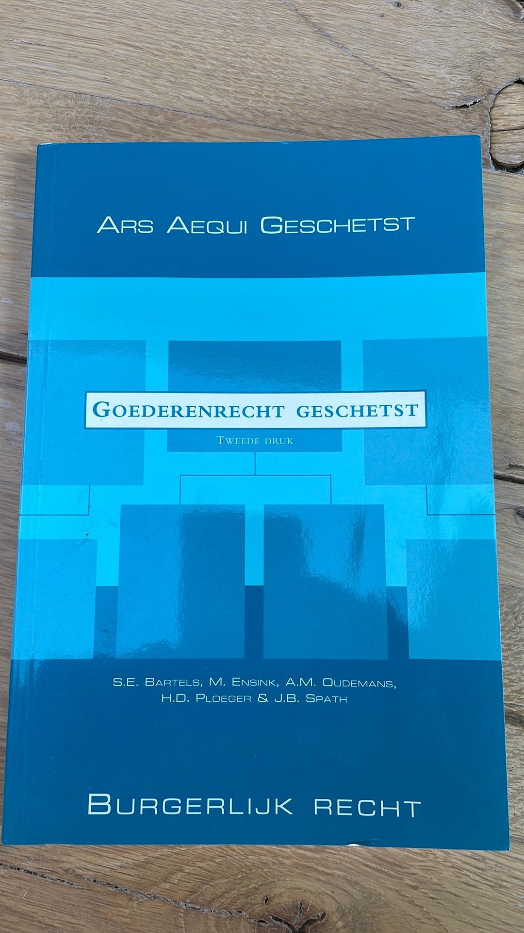 A.M. Oudemans - Goederenrecht geschetst, Ophalen of Verzenden, Zo goed als nieuw, A.M. Oudemans; M. Ensink; S.E. Bartels; J.B. Spath; H.D. Ploeger