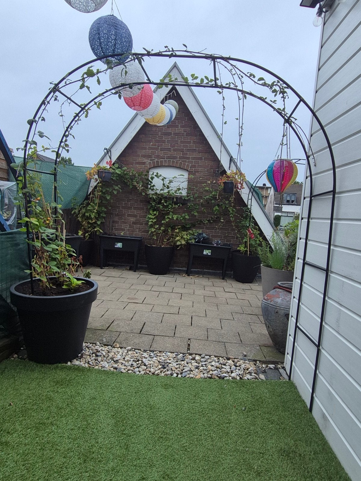 Frambozenplant in pot met boog, Tuin en Terras, Ophalen, Bloeit niet, Overige soorten, Volle zon