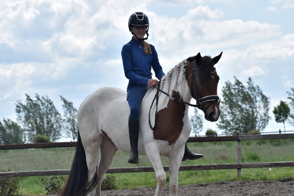 Prachtige talentvolle sportpony, Merrie, B, Dressuurpony, 3 tot 6 jaar