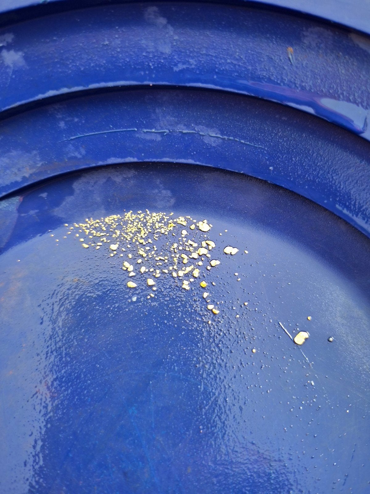 Gold Rush Paydirt: Vind zelf goud met 100mg echt goud!, Verzenden, Nieuw