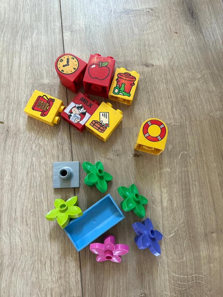 Duplo blokken met opdruk en bloemen, Ophalen of Verzenden, Gebruikt