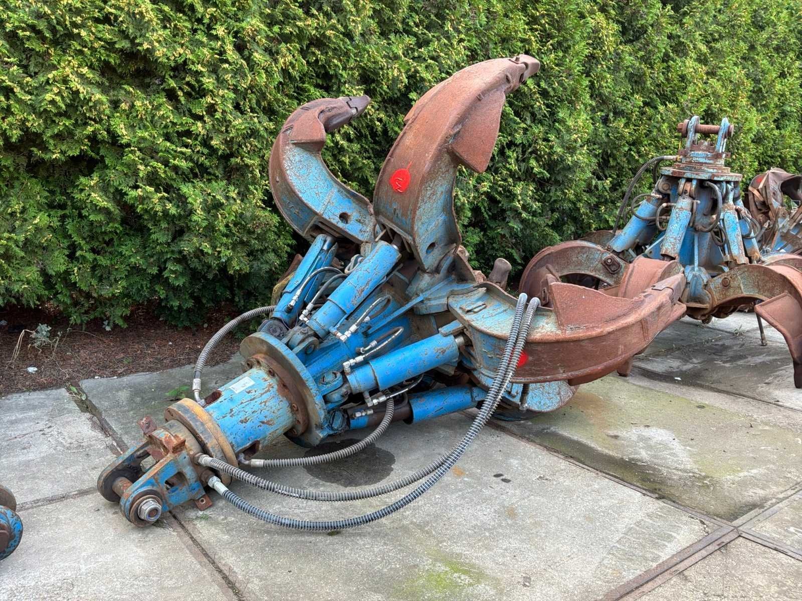 TGS Poliepgrijper