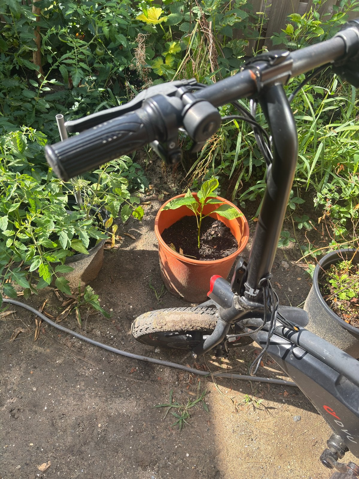 Elektrische fiets met defect stuur en gaspedaal, Fietsen en Brommers, Ophalen, Gebruikt, Overige merken