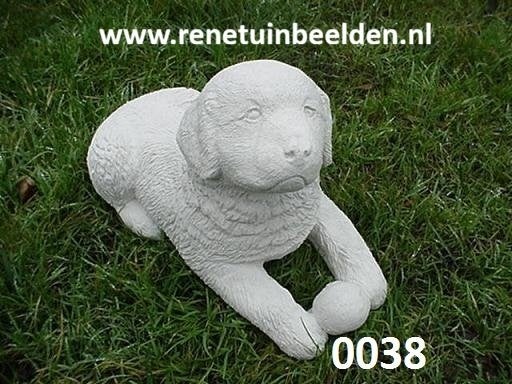 Hond met Bal.  nr 0038., Ophalen of Verzenden, Nieuw, Beton, Dierenbeeld