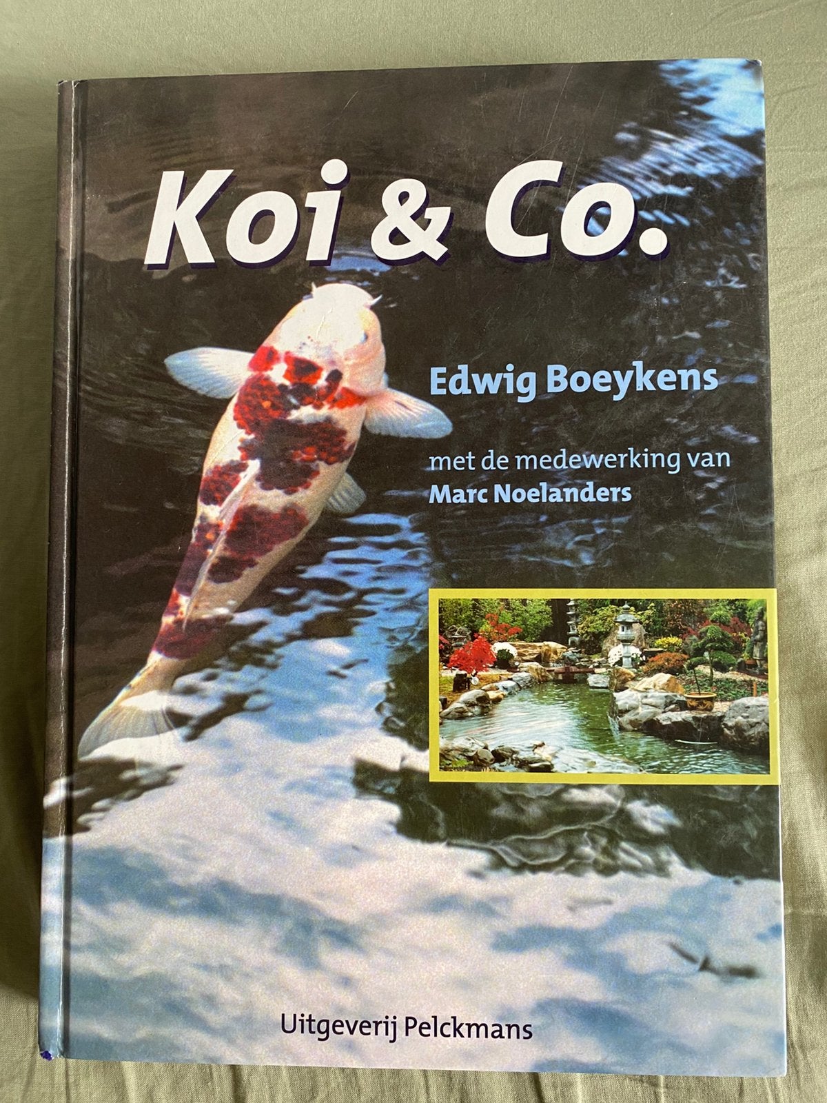 E. Boeykens - Koi & Co koi karper, E. Boeykens; M. Noelanders, Ophalen of Verzenden, Zo goed als nieuw, Paarden of Pony's