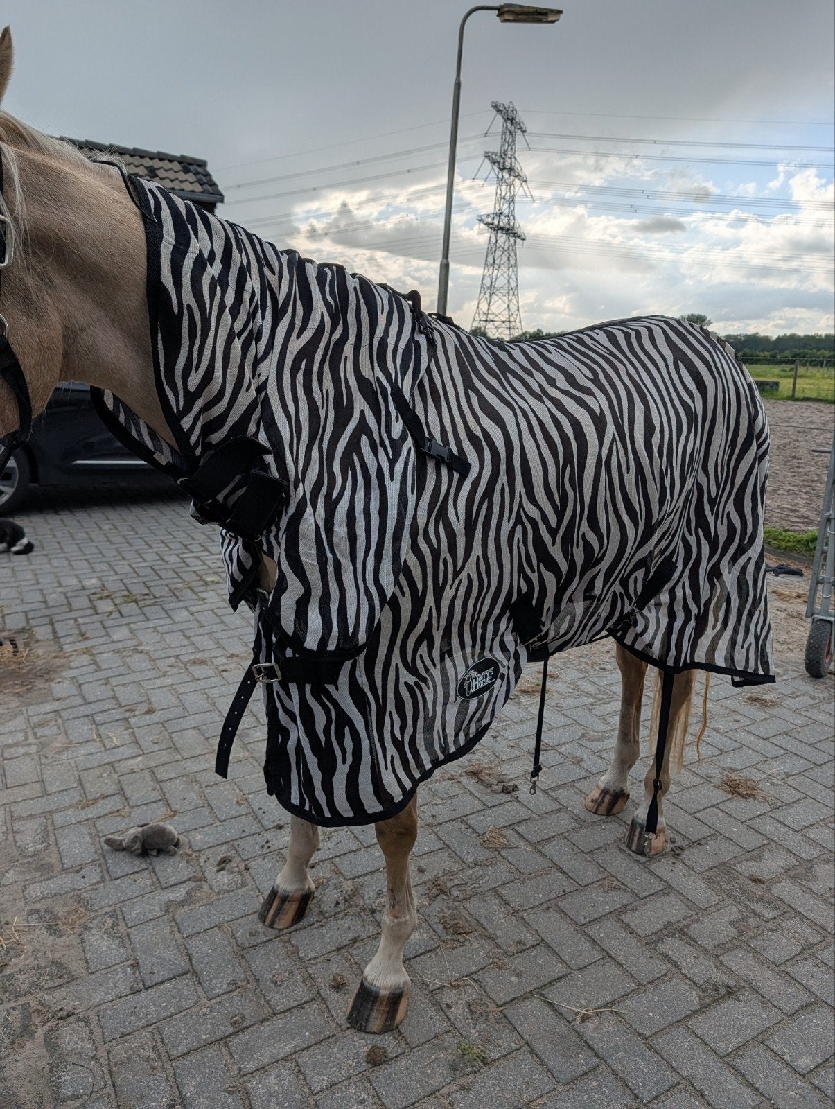 Vliegendeken zebra, Dieren en Toebehoren, Paarden en Pony's | Dekens en Dekjes, Ophalen of Verzenden