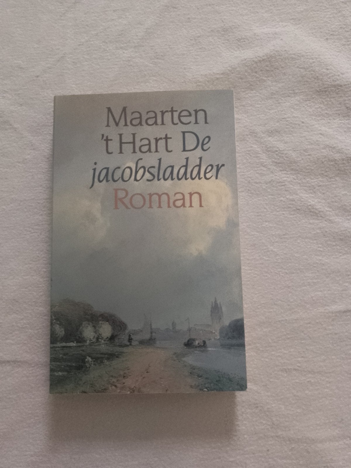 Maarten 't Hart - De Jacobsladder Roman, Ophalen of Verzenden, Gelezen, Maarten 't Hart, Nederland
