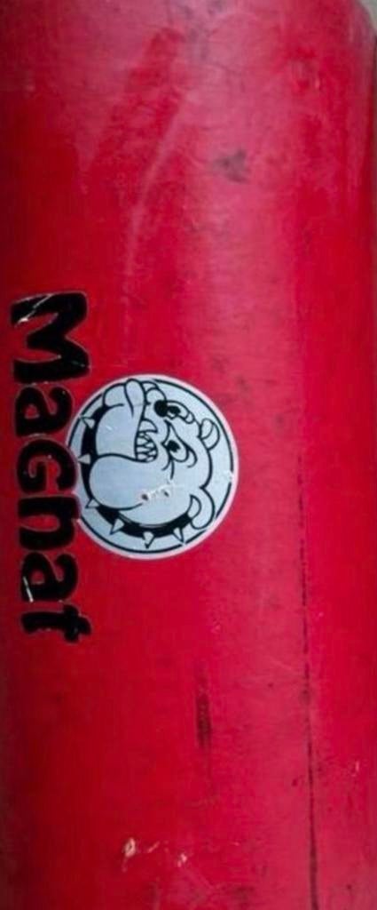 Magnat Buffalo Bull Subwoofer, Auto diversen, Ophalen of Verzenden, Gebruikt