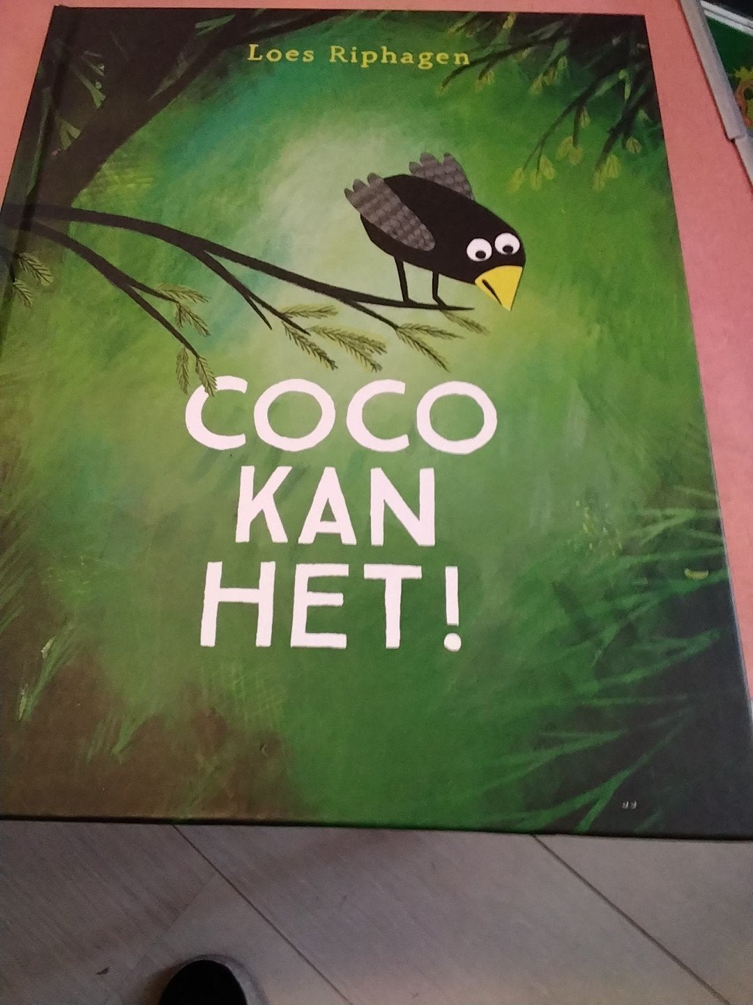 loes riphagen Coco kan het € 5, Ophalen of Verzenden, Zo goed als nieuw, Fictie algemeen