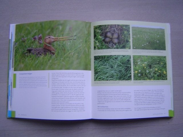 weidevogels   kievit grutto, Boeken, Verzenden, Zo goed als nieuw