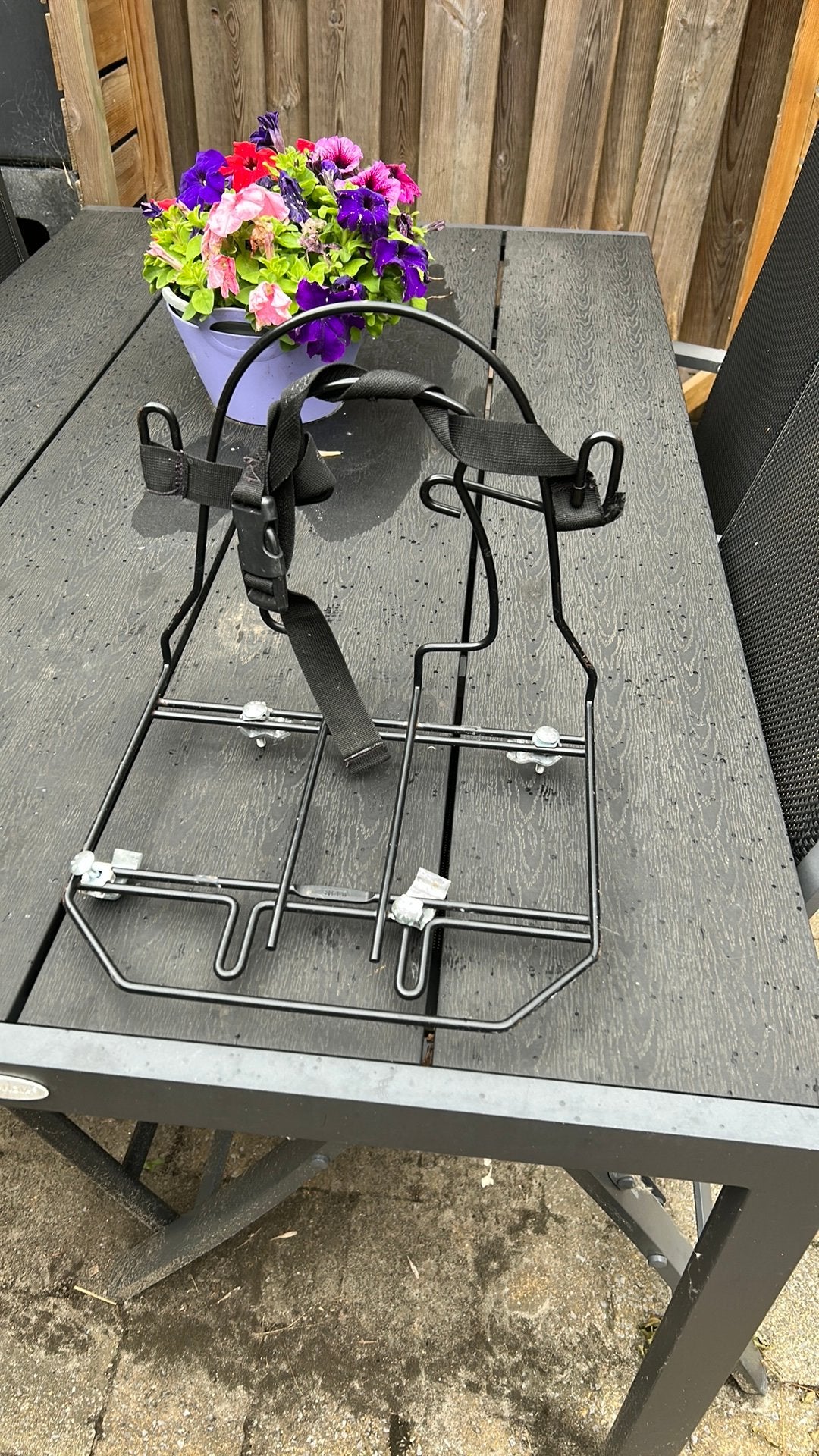 Monkey te koop!, Ophalen of Verzenden, Gebruikt
