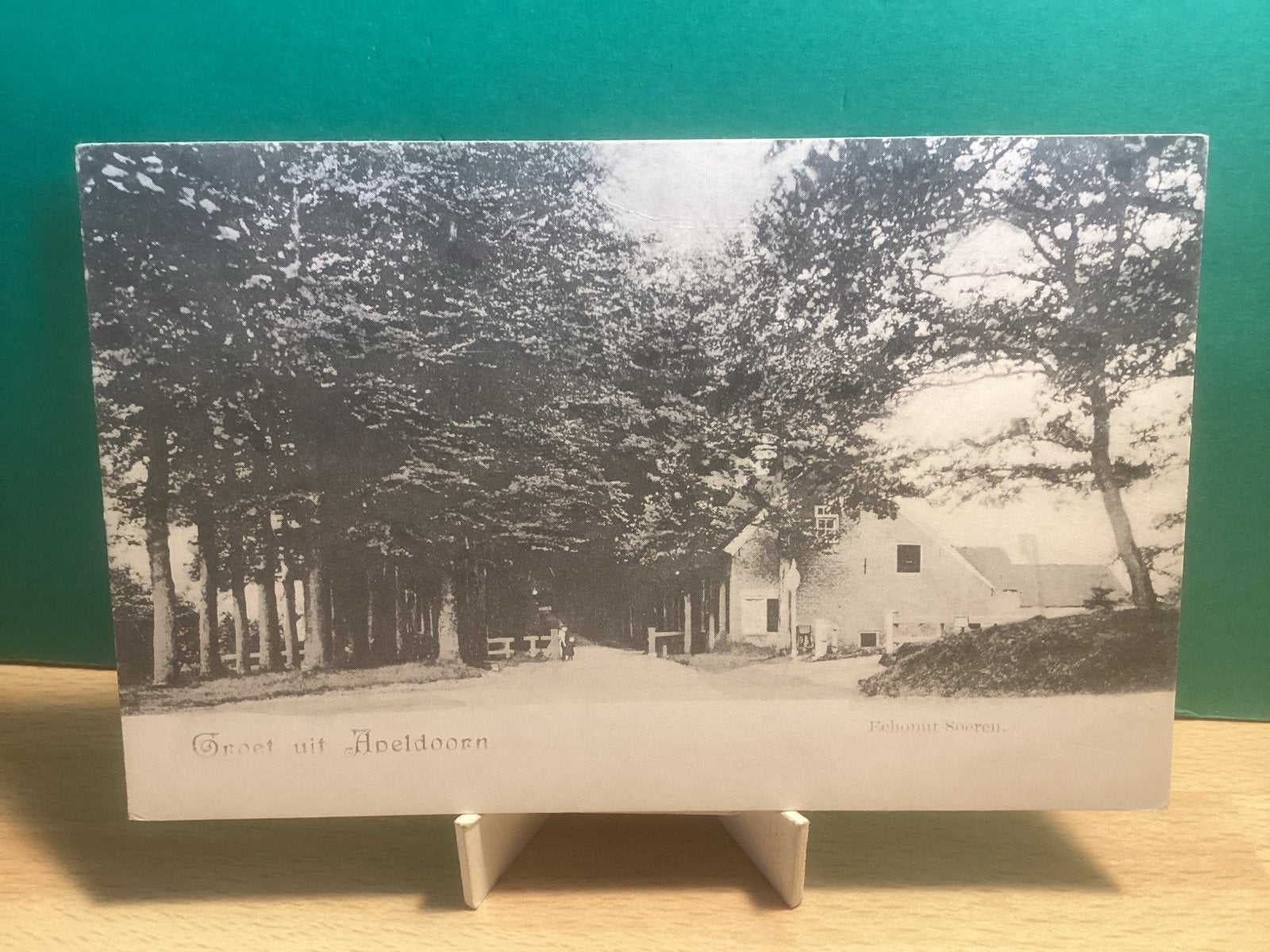 Apeldoorn - Gezicht op Schouten.    232, Ophalen of Verzenden, Voor 1920, Ongelopen, Gelderland