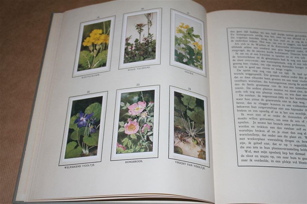 De bonte wei. Jac. P. Thijsse. Compleet plaatjesalbum., Ophalen of Verzenden, Gelezen