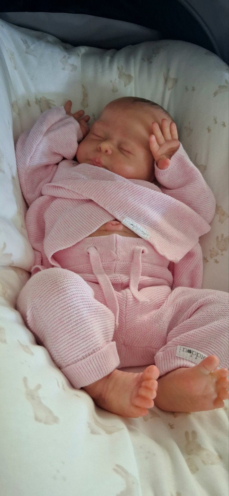 reborn christopher, Ophalen of Verzenden, Nieuw, Pop