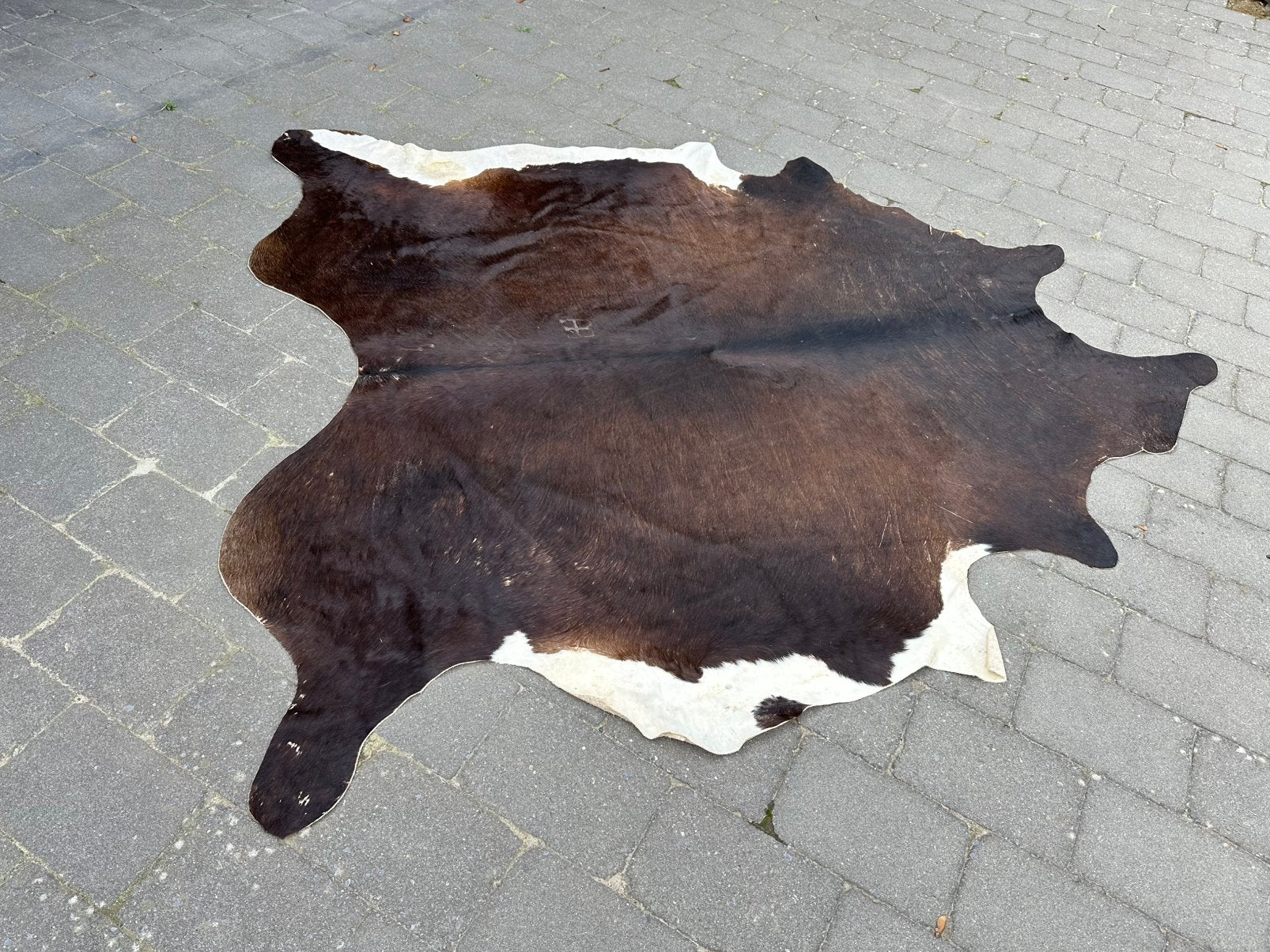 Koeienvel, Ophalen, Gebruikt, 100 tot 150 cm, Bruin