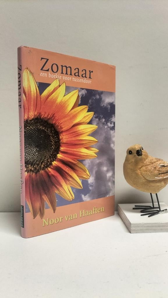 Haaften, Noor van; Zomaar, Boeken, Ophalen of Verzenden, Gelezen, Christendom | Protestants
