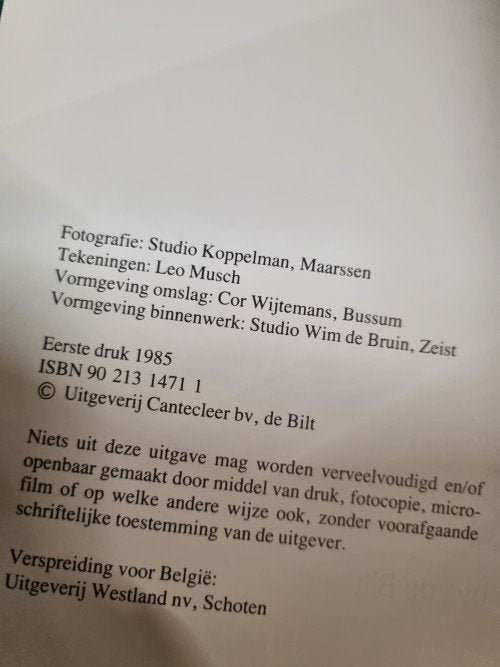 boek schilderen als hobby leo musch, Ophalen of Verzenden
