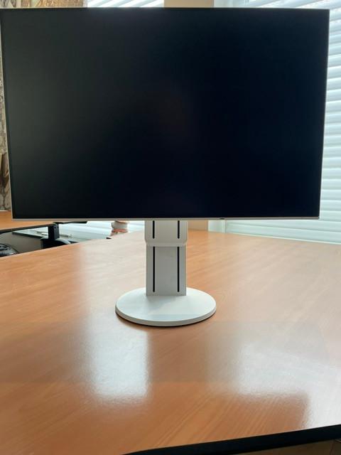 Eizo EV 2456  Monitor WIT, Computers en Software, Ophalen, IPS, 24 inch, Zo goed als nieuw