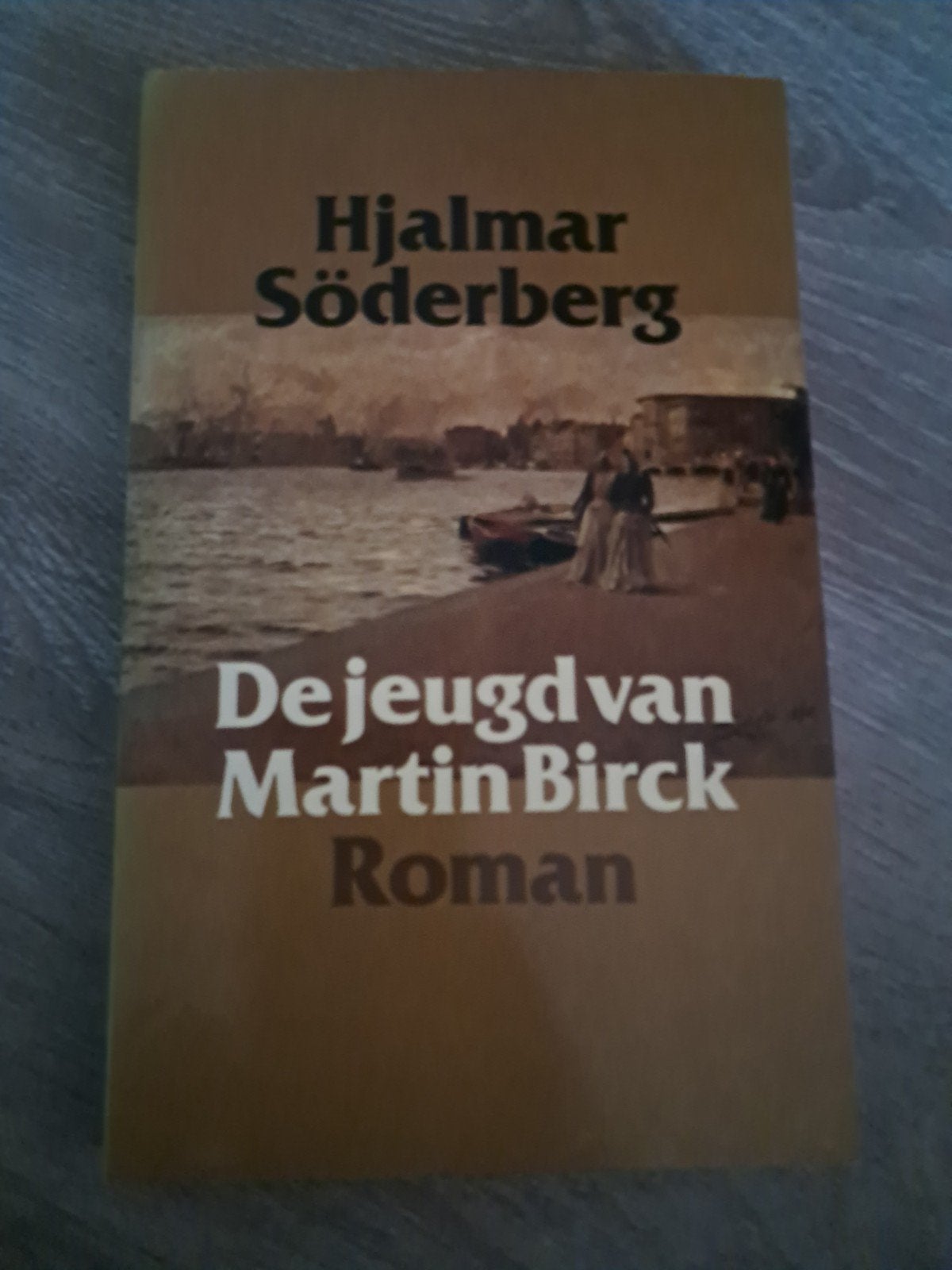 K5 De jeugd van Martin Birck - Hjalmar Söderberg Roman, Ophalen of Verzenden, Gelezen, Hjalmar Söderberg, Europa overig