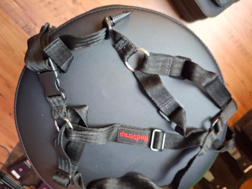 RedStrap saxofoon harnas, Muziek en Instrumenten, Behuizingen en Koffers, Ophalen of Verzenden, Zo goed als nieuw, Saxofoon