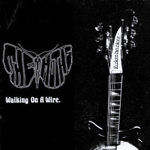 the moths / walking on a wire - garage/punk, Verzenden, Gebruikt, 12 inch, Alternative Rock