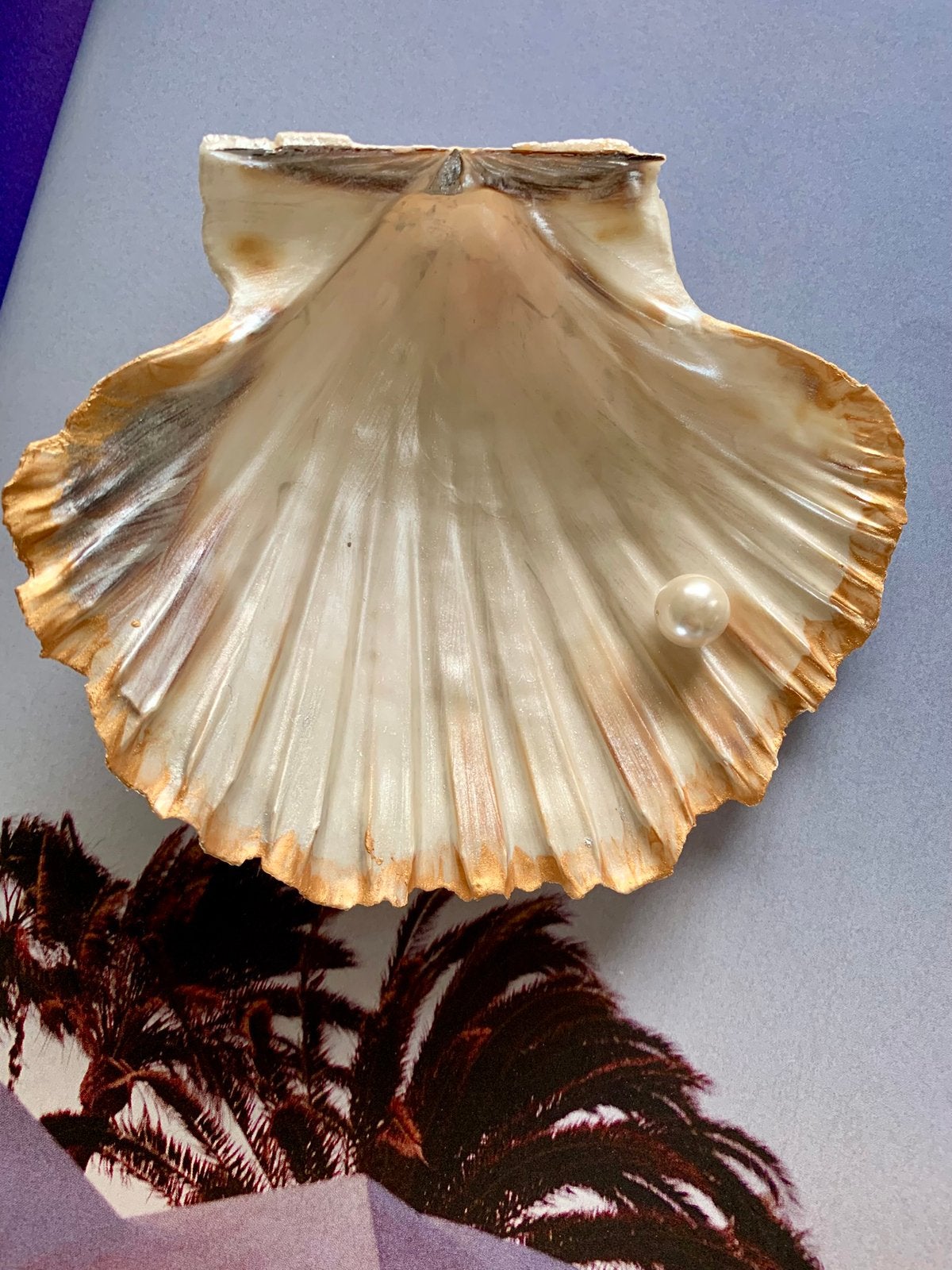 St. Jacobs schelp / Coquille met zoutwater parel, Ophalen of Verzenden, Zo goed als nieuw