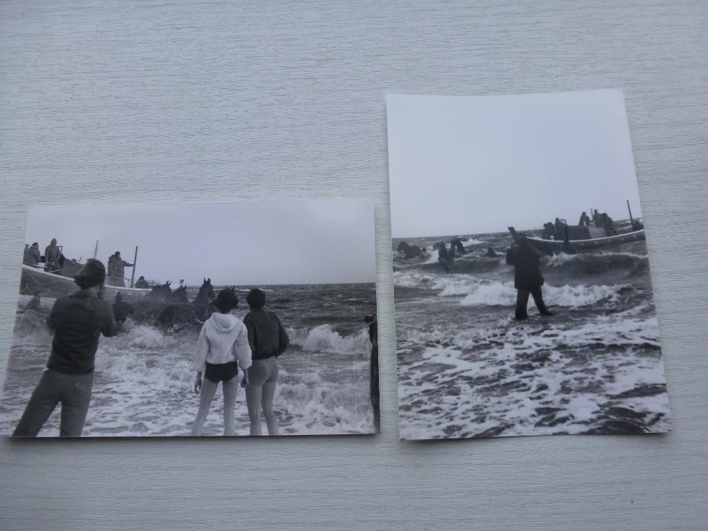 2 foto's ongeluk paarden Reddingsboot Ameland 1979, Ophalen of Verzenden, 1960 tot 1980, Nieuw